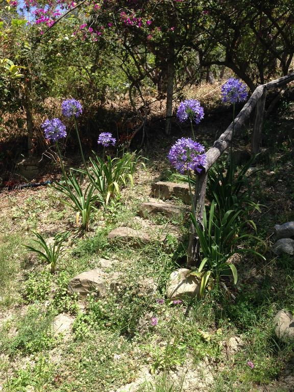 منزل الضيف سانتاغاتو دي ميليتي  في Giardino Di Sicilia المظهر الخارجي الصورة